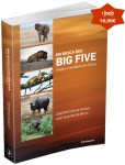Big_Five_Livro_promo